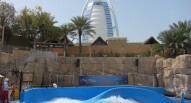 AcquaPark Wild Wadi Dubai vivicity