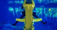 Acquario Dubai Mall 10