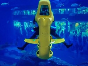 Acquario Dubai Mall 10