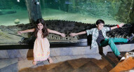 Acquario Dubai Mall 6