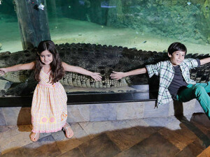 Acquario Dubai Mall 6