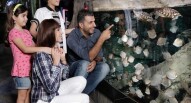 Acquario Dubai Mall 8