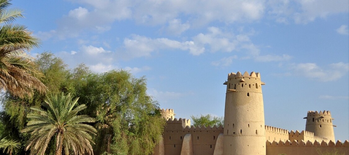 Visualizza tutti i Tour e le Attività che puoi fare ad Al Ain e Monti Hajar 