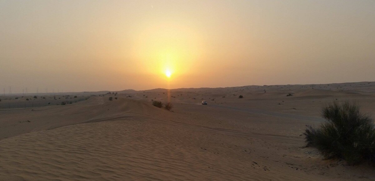 Scopri i migliori Tour in offerta a Dubai