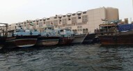 Manola26