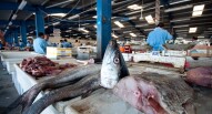 Fish Market Liji Jinaraj flickr