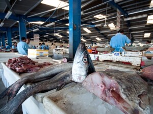 Fish Market Liji Jinaraj flickr
