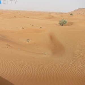 Deserto Dubai 3 vivicity