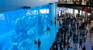 Dubai Mall Aquarium Oiva Eskoia flickr