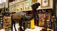 Dubai Mall Jhih Min Yang flickr