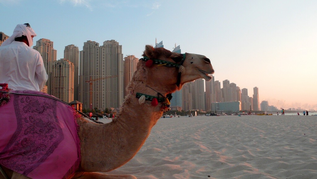 Jumeriah Beach mike george flickr