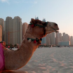 Pasqua 2025 a Dubai: Una 