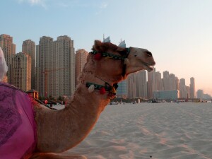 Jumeriah Beach mike george flickr