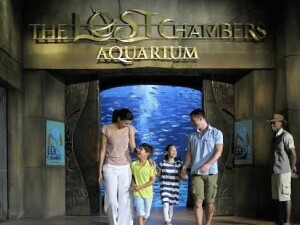 Parco Acqquatico Dubai 5