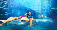 Parco Acquatico Dubai 1