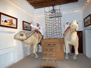 Museo del Cammello