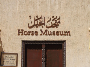 Museo del Cavallo