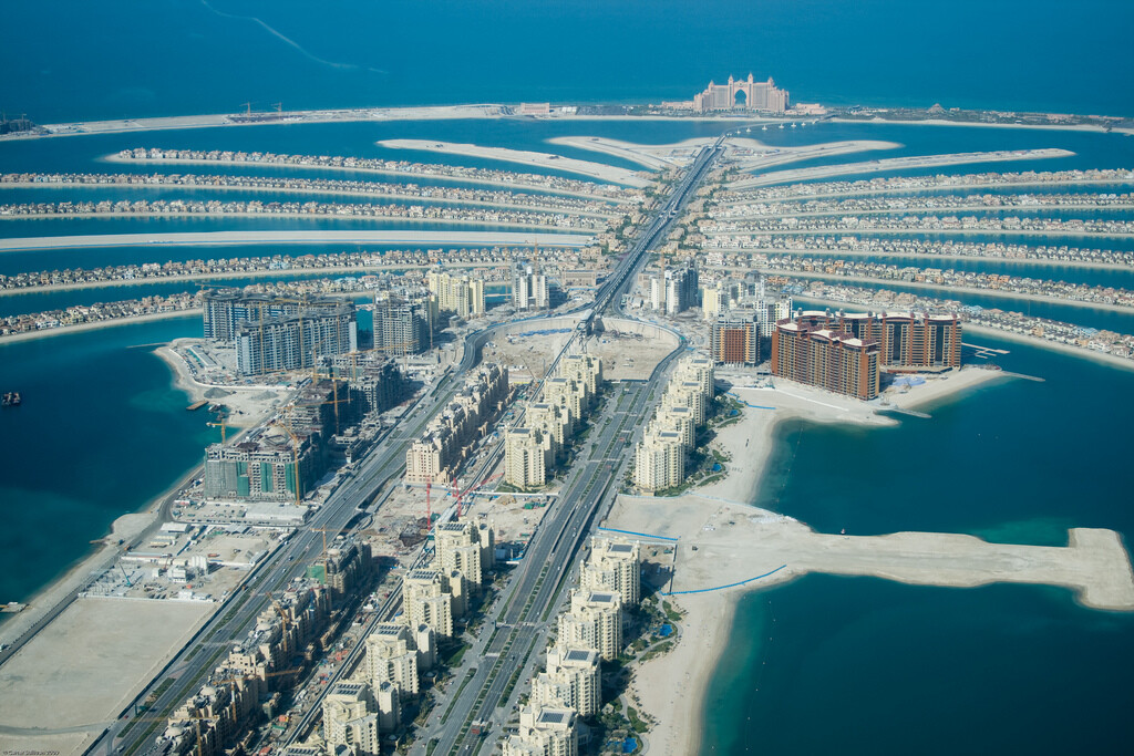 The Palm Humeriah Carter S flickr
