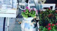 Bianca Mozzarella facebook