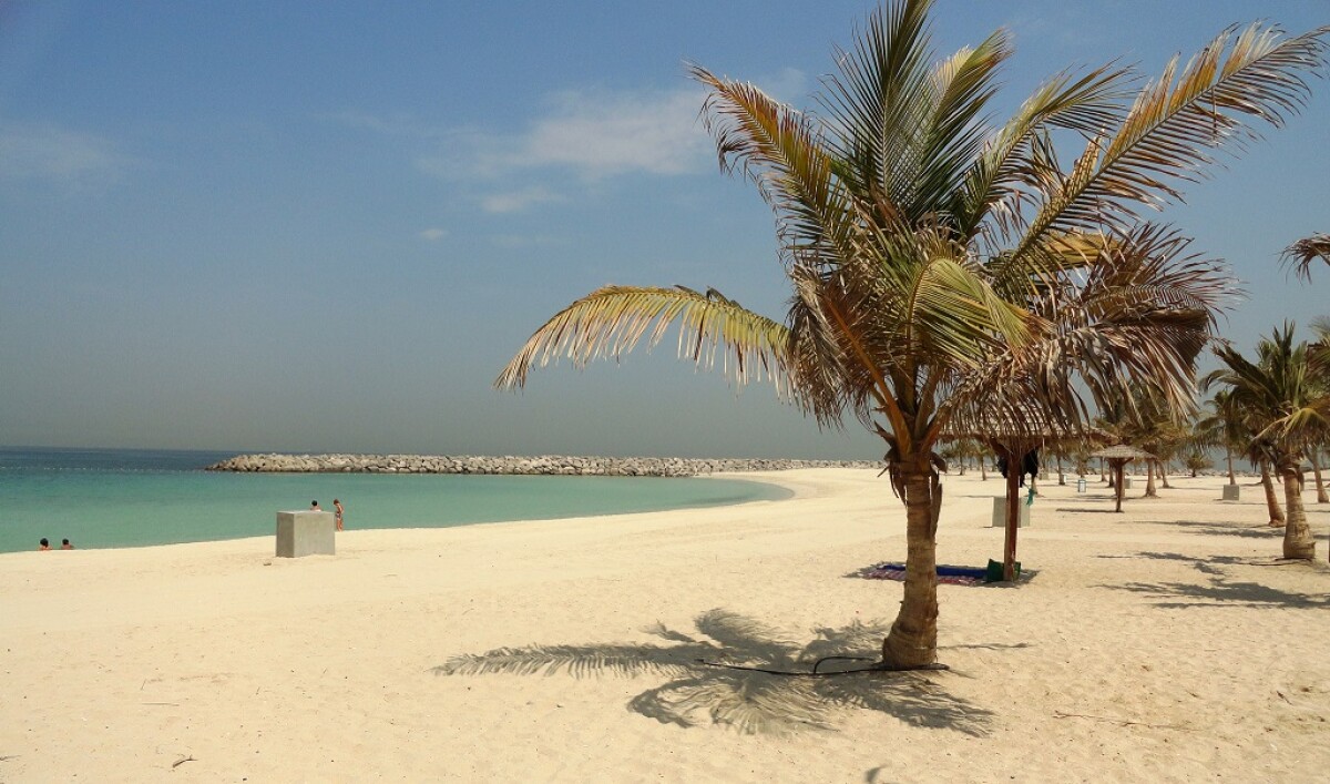 Scopri i migliori Tour in offerta a Dubai