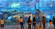 Dubai Aquarium Wikipedia