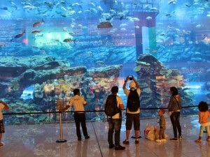 Dubai Aquarium Wikipedia