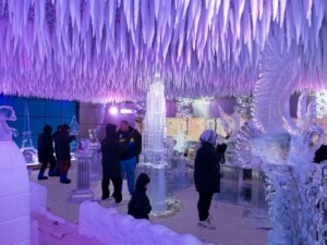 Ice Bar Dubai