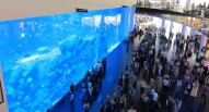 Dubai Mall Acquario vivicity