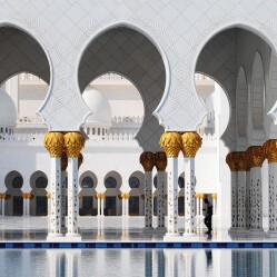 Una giornata ad Abu Dhabi: Tour e attrazioni da non perdere